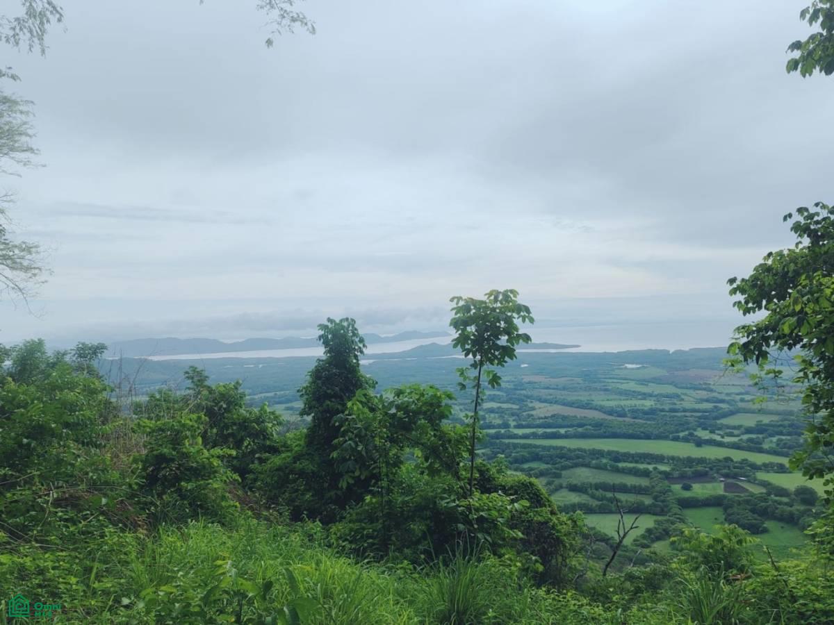 Finca Nandayure , Carmona, Nandayure, Guanacaste