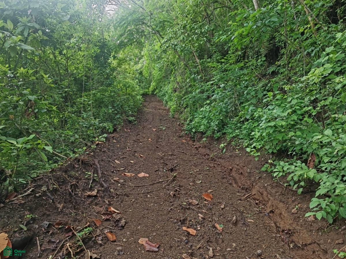 Finca Nandayure , Carmona, Nandayure, Guanacaste