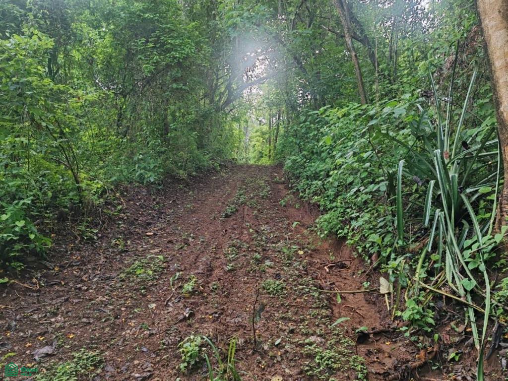 Finca Nandayure , Carmona, Nandayure, Guanacaste