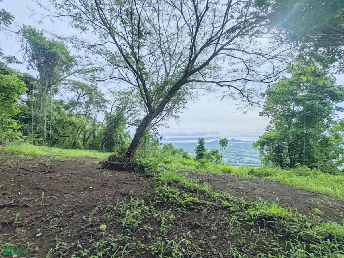Finca Nandayure , Carmona, Nandayure, Guanacaste