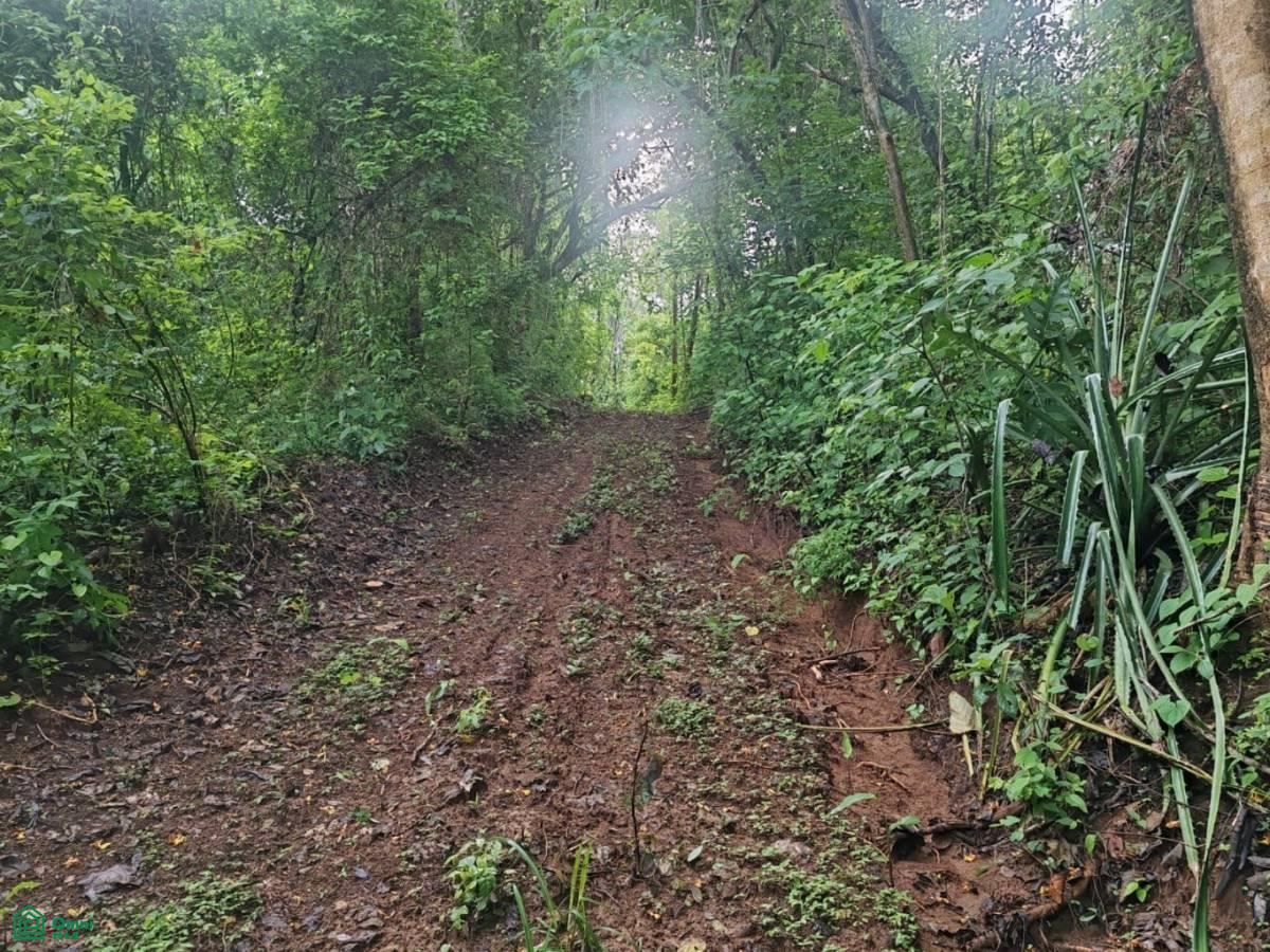 Finca Nandayure , Carmona, Nandayure, Guanacaste