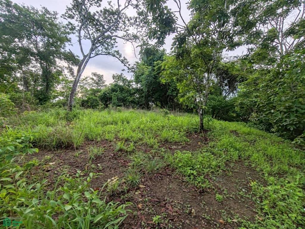 Finca Nandayure , Carmona, Nandayure, Guanacaste