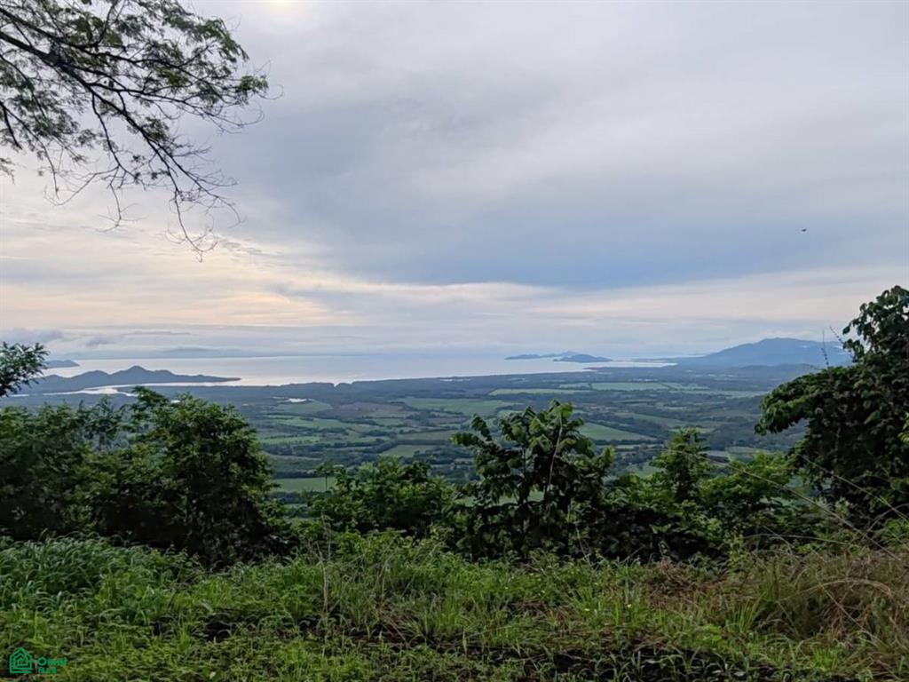 Finca Nandayure , Carmona, Nandayure, Guanacaste