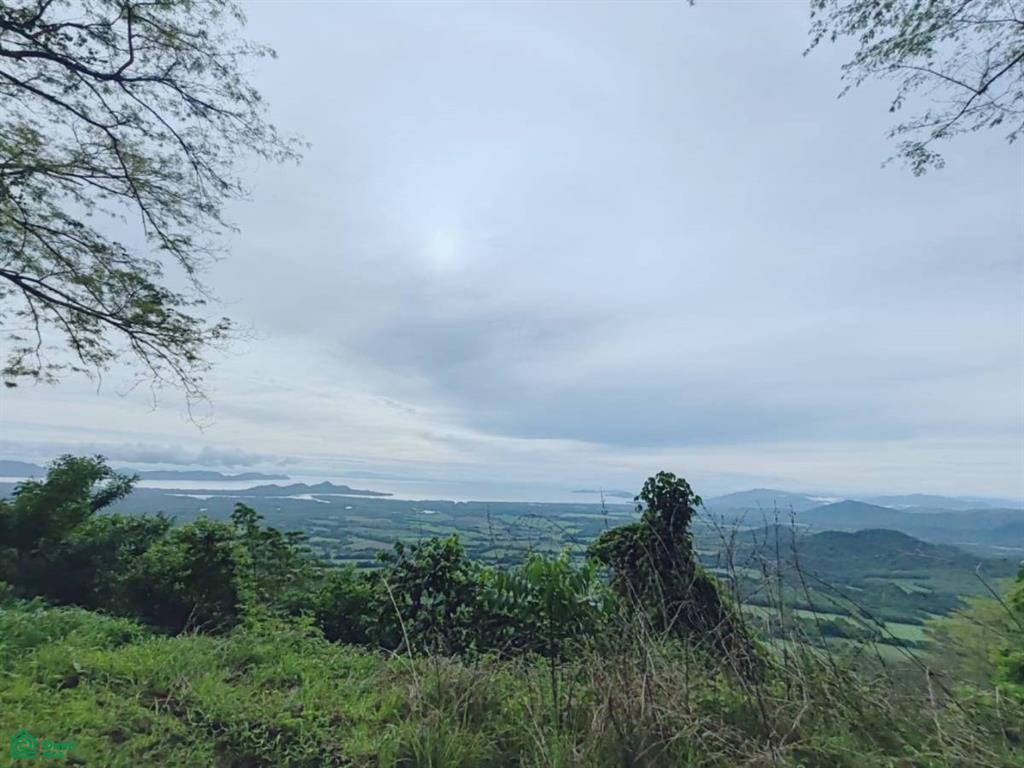Finca Nandayure , Carmona, Nandayure, Guanacaste