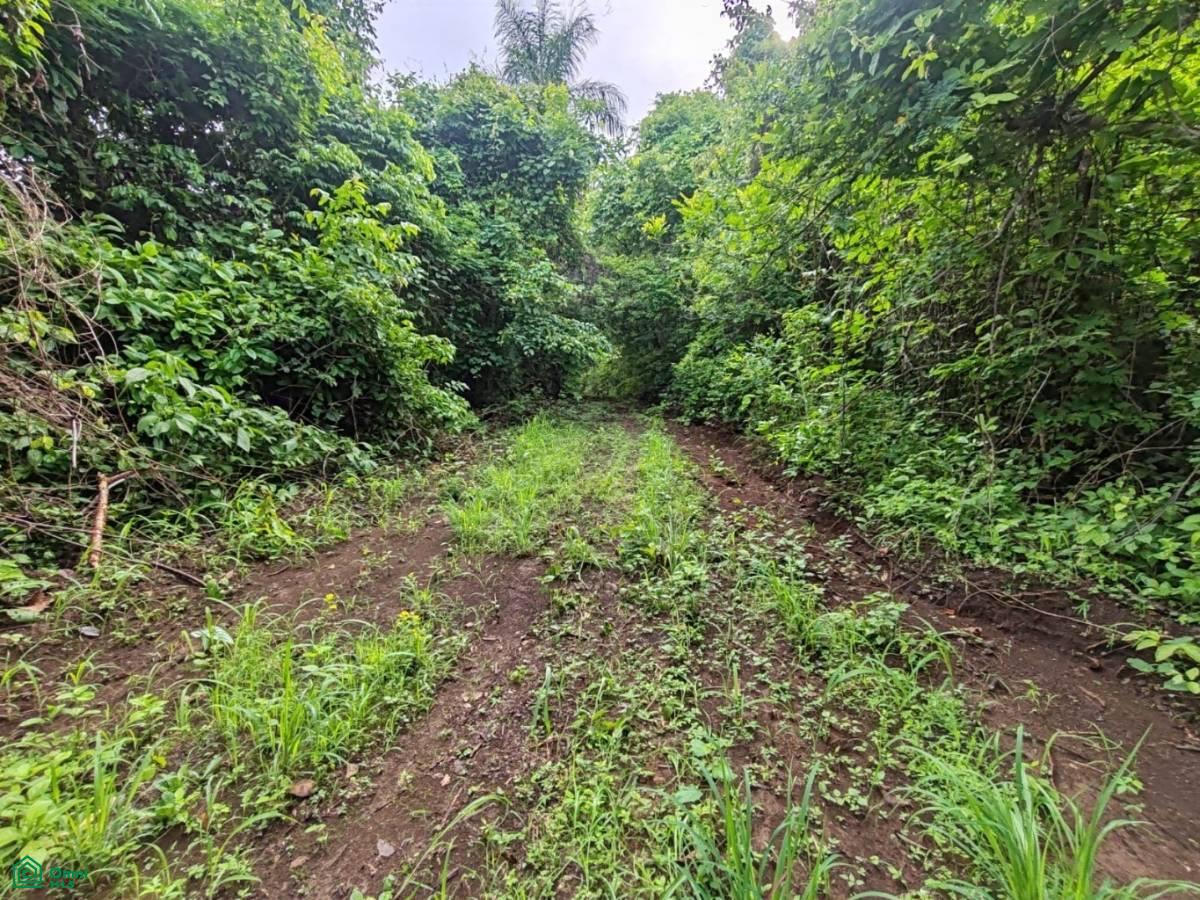 Finca Nandayure , Carmona, Nandayure, Guanacaste