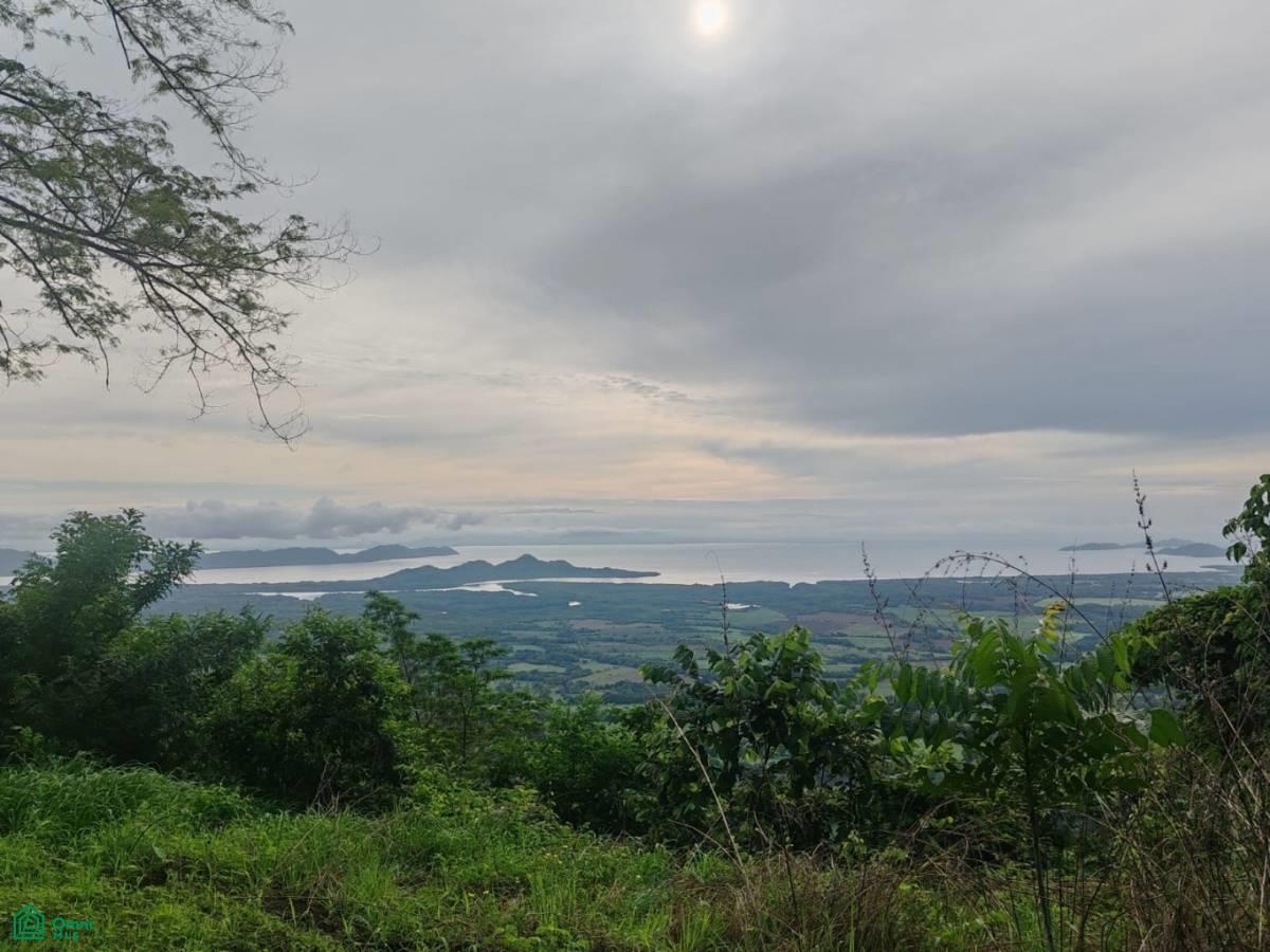 Finca Nandayure , Carmona, Nandayure, Guanacaste