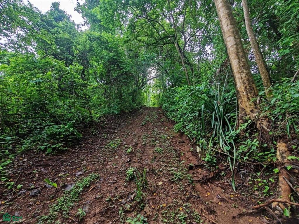 Finca Nandayure , Carmona, Nandayure, Guanacaste