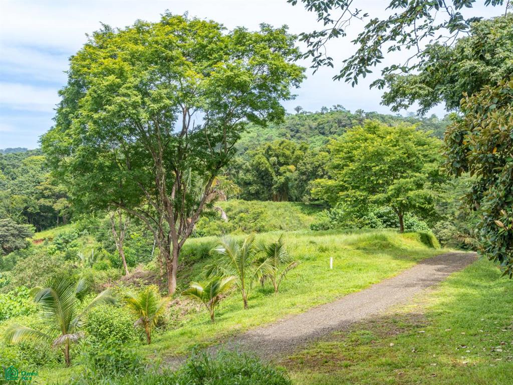 Ocean View Lots, Pilas de Bejuco, Nandayure, Guanacaste