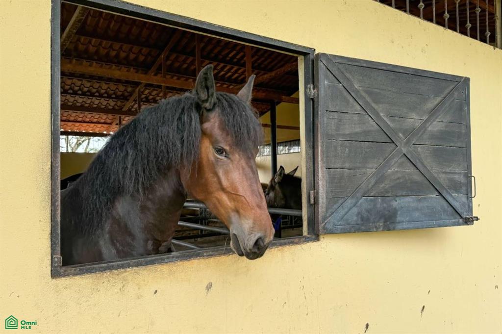 19 Bedroom Hotel , San Isidro del General, Perez Zeledon, San Jose