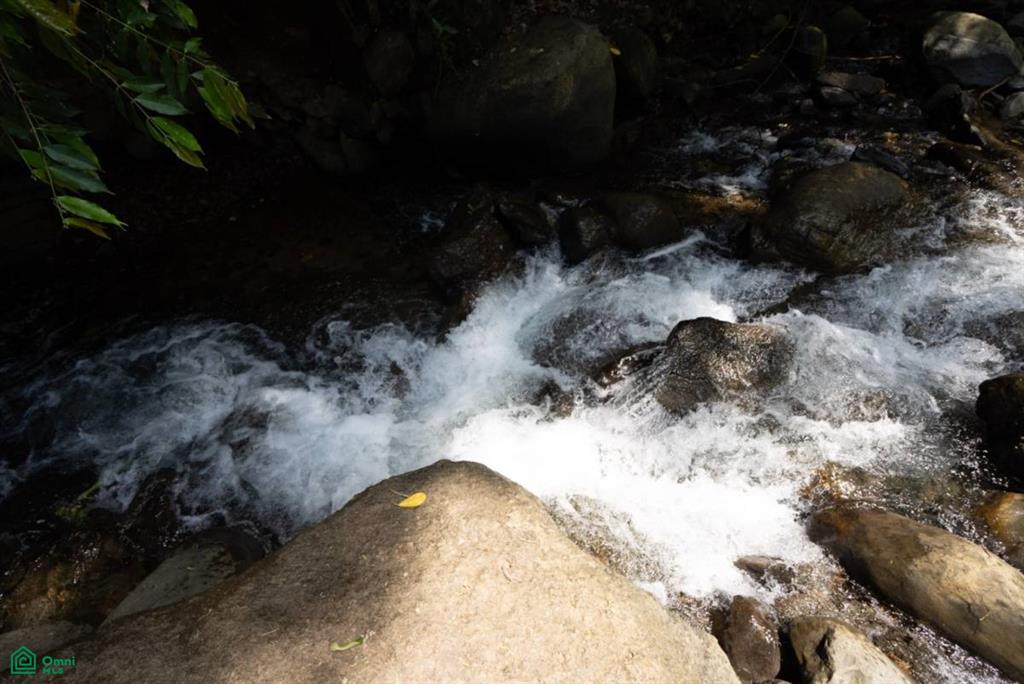 Finca Dos Bocas , Bahía Ballena, Osa, Puntarenas
