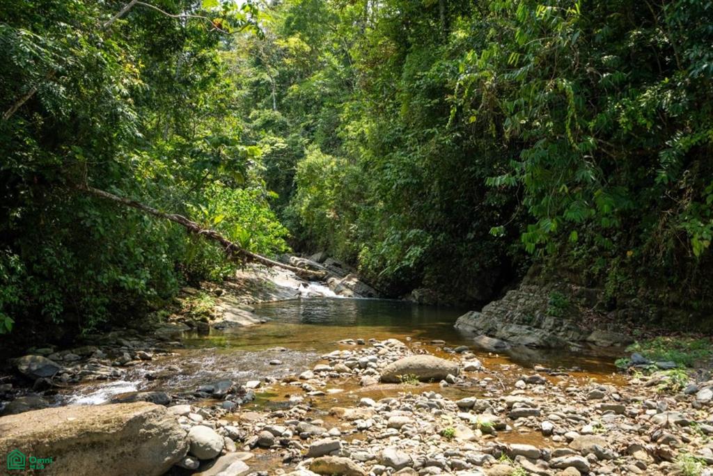 Finca Dos Bocas , Bahía Ballena, Osa, Puntarenas