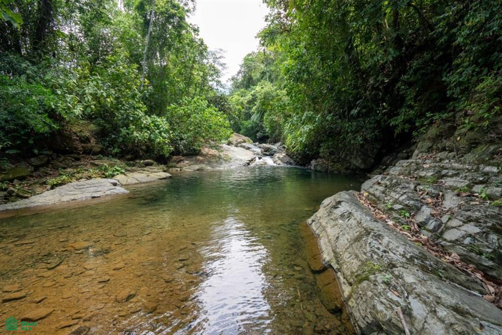Finca Dos Bocas , Bahía Ballena, Osa, Puntarenas