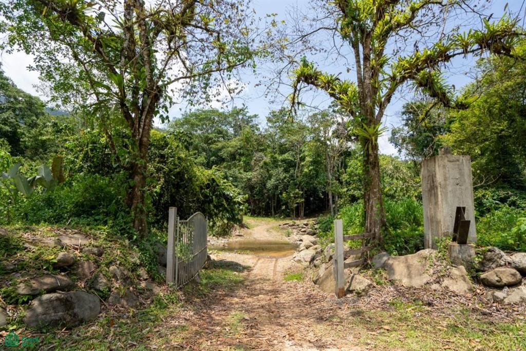 Finca Dos Bocas , Bahía Ballena, Osa, Puntarenas