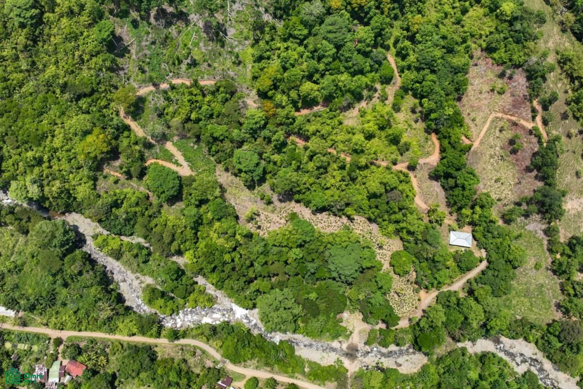 Finca Dos Bocas , Bahía Ballena, Osa, Puntarenas