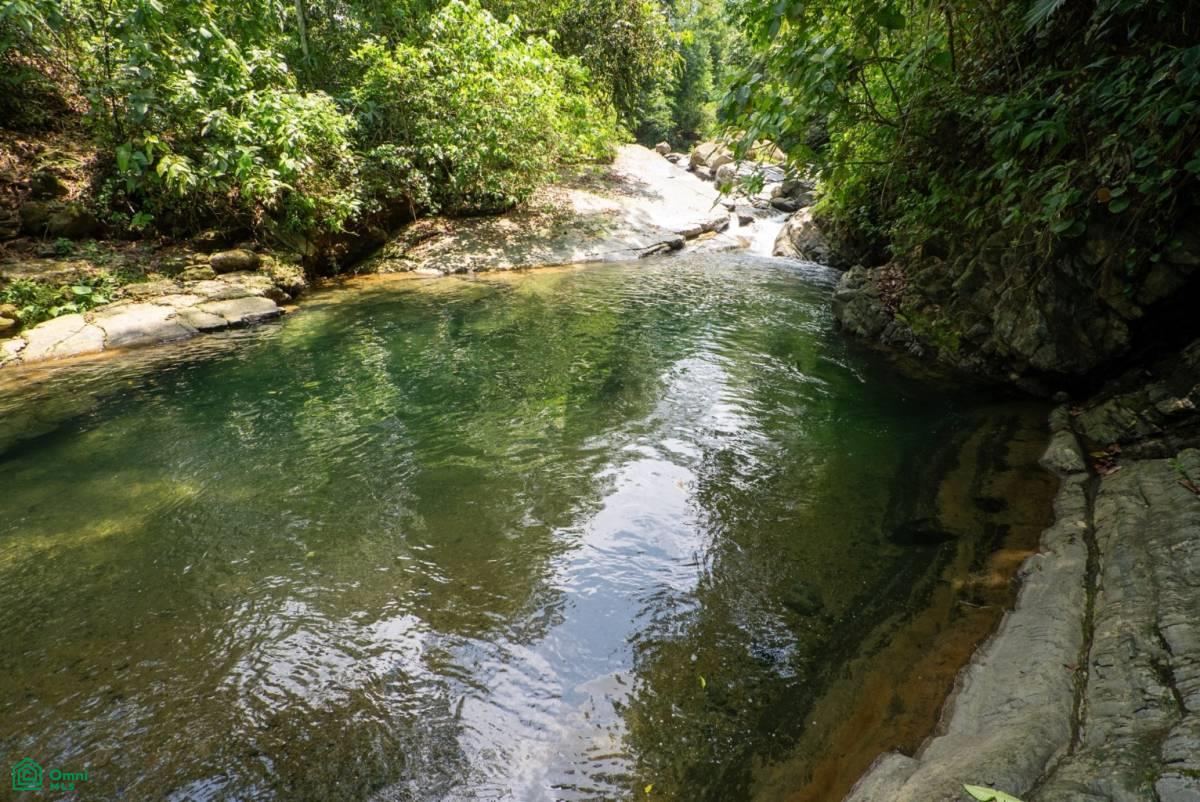 Finca Dos Bocas , Bahía Ballena, Osa, Puntarenas