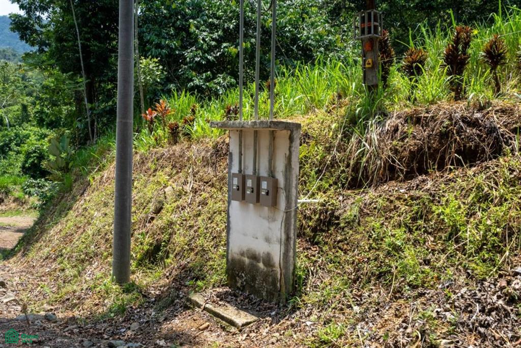 Finca Dos Bocas , Bahía Ballena, Osa, Puntarenas