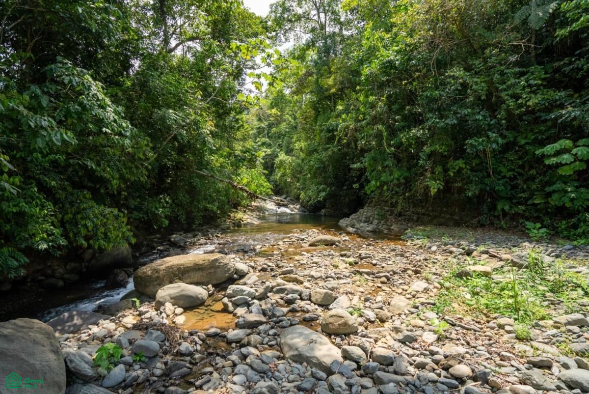 Finca Dos Bocas , Bahía Ballena, Osa, Puntarenas