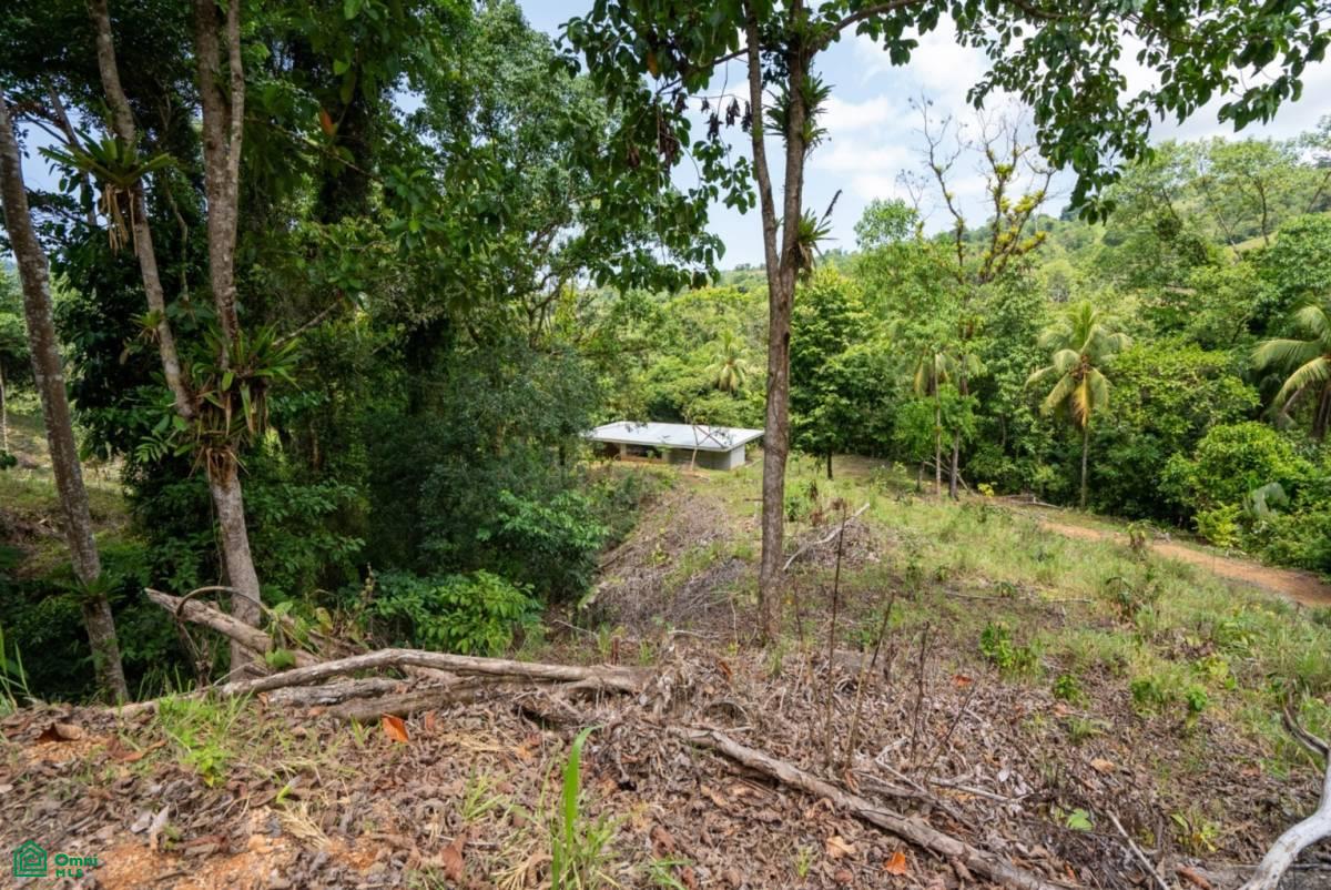 Finca Dos Bocas , Bahía Ballena, Osa, Puntarenas