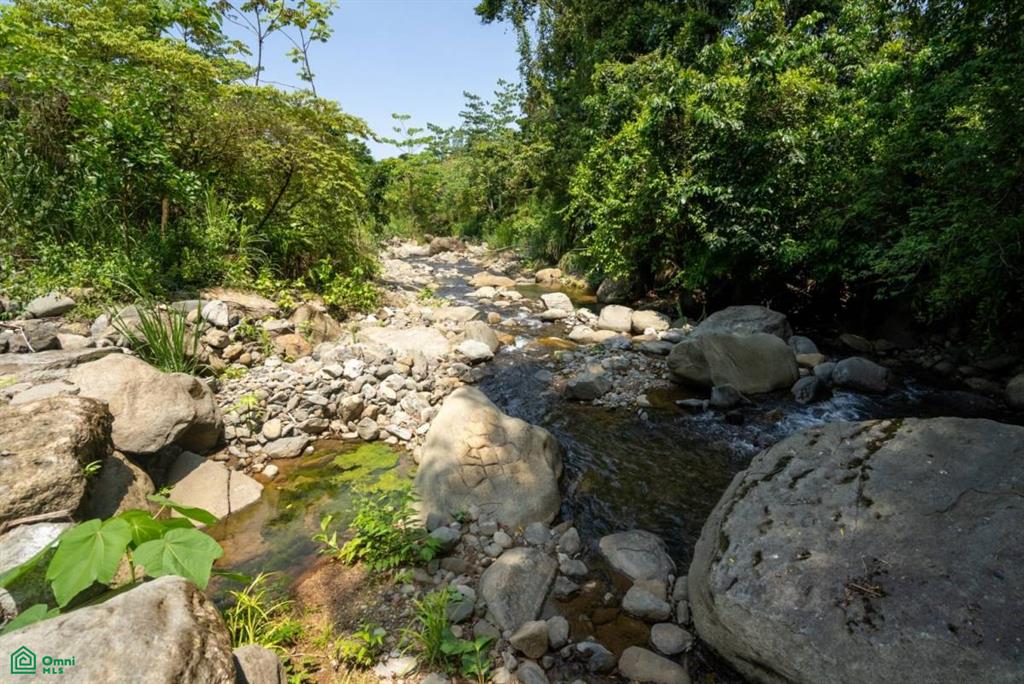 Finca Dos Bocas , Bahía Ballena, Osa, Puntarenas