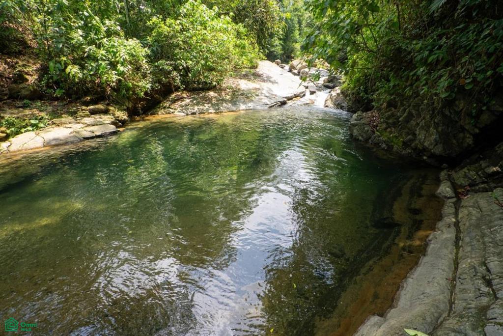 Finca Dos Bocas , Bahía Ballena, Osa, Puntarenas
