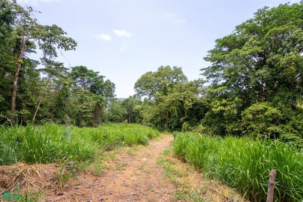 Finca Dos Bocas , Bahía Ballena, Osa, Puntarenas