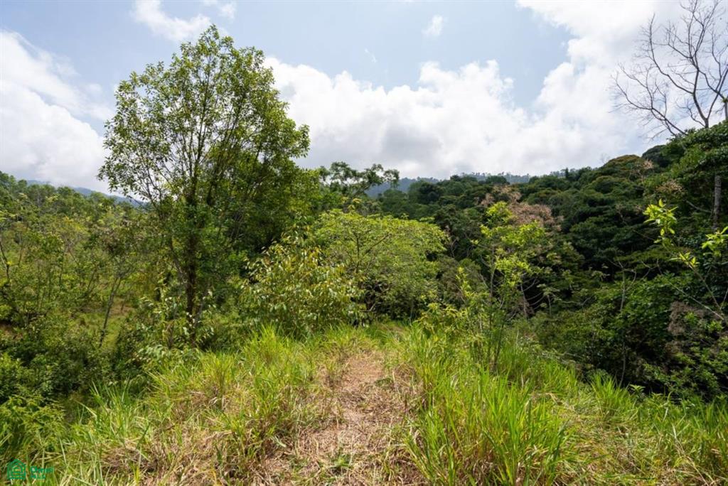 Finca Dos Bocas , Bahía Ballena, Osa, Puntarenas