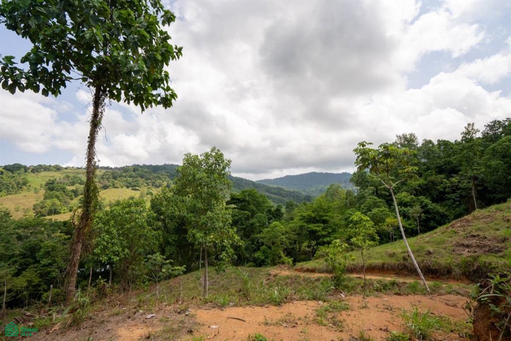 Finca Dos Bocas , Bahía Ballena, Osa, Puntarenas
