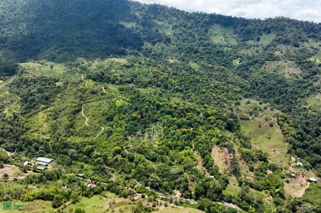 Finca Dos Bocas , Bahía Ballena, Osa, Puntarenas