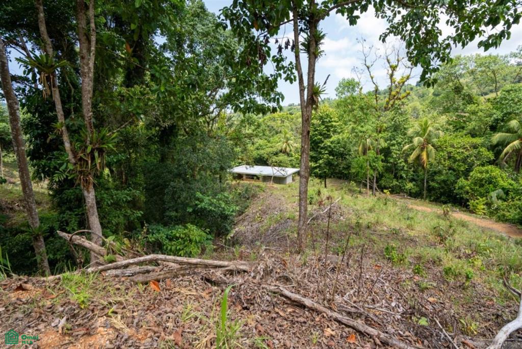 Finca Dos Bocas , Bahía Ballena, Osa, Puntarenas