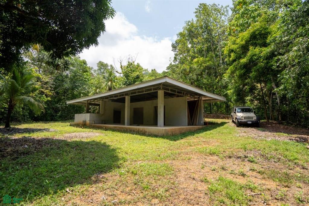 Finca Dos Bocas , Bahía Ballena, Osa, Puntarenas