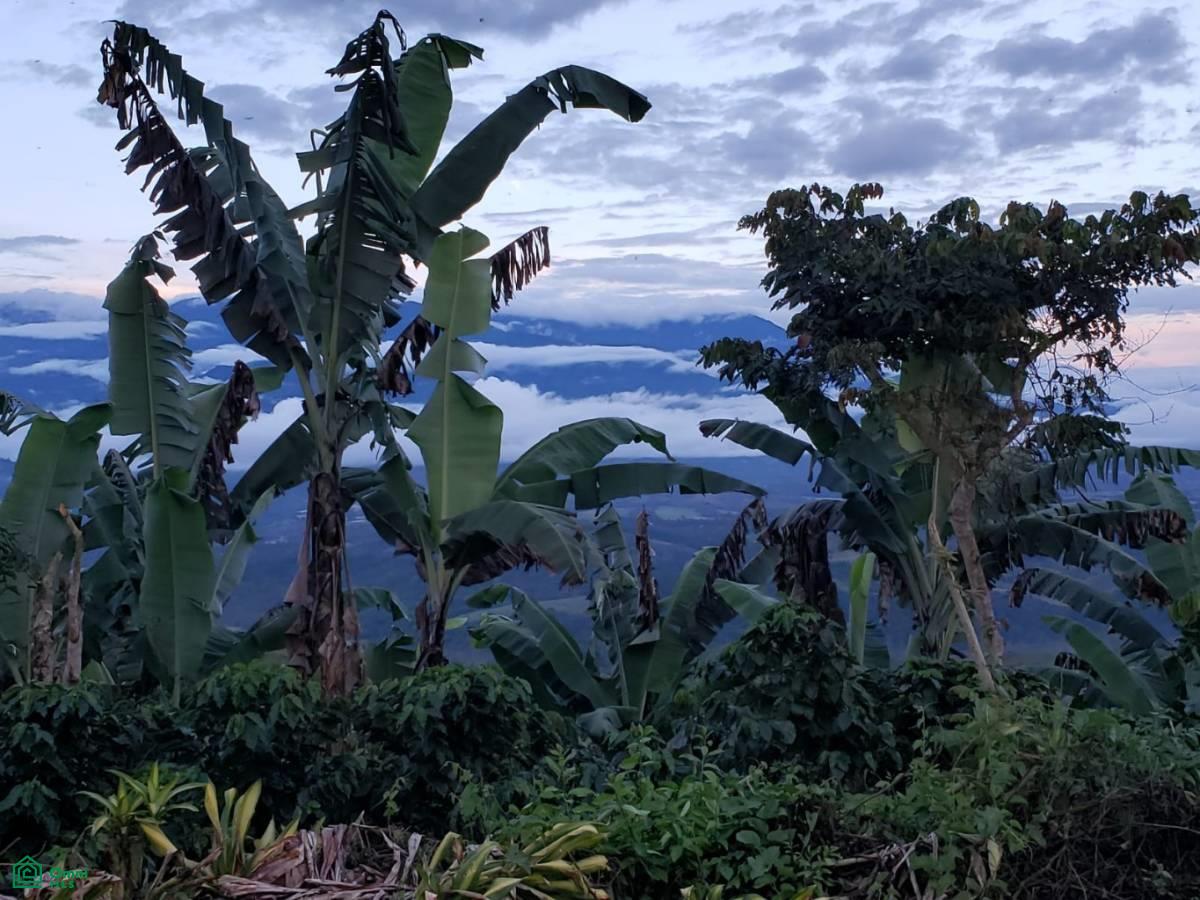 Santa Lusia Waterfall property , San Pedro, Perez Zeledon, San Jose