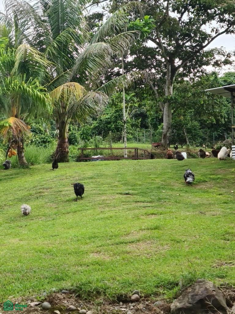 Santa Lusia Waterfall property , San Pedro, Perez Zeledon, San Jose