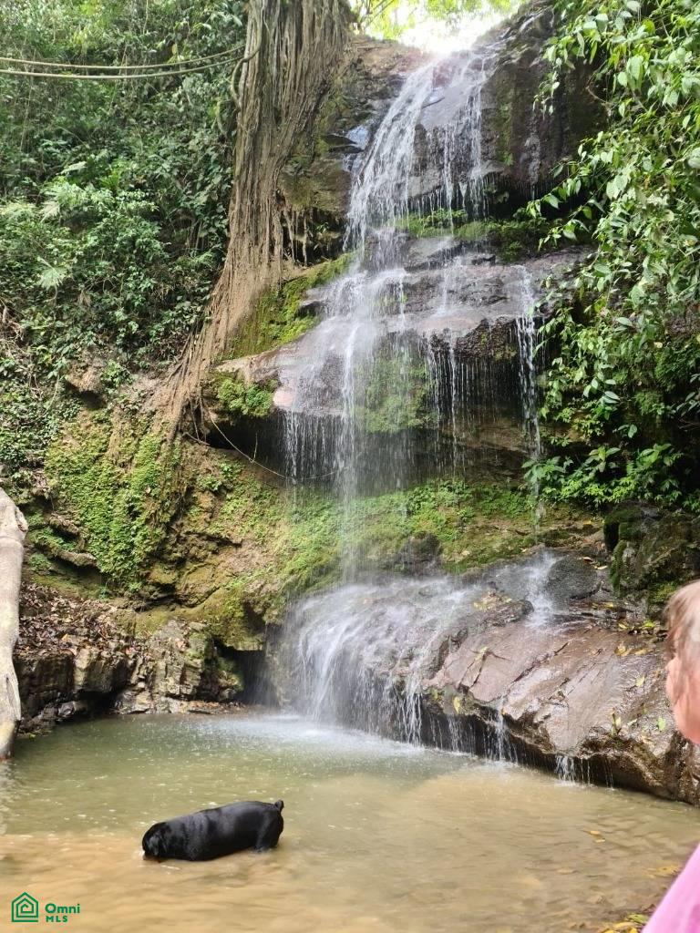Santa Lusia Waterfall property , San Pedro, Perez Zeledon, San Jose