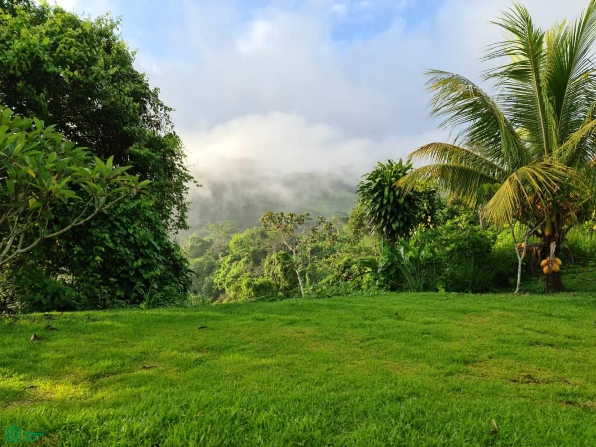 Santa Lusia Waterfall property , San Pedro, Perez Zeledon, San Jose