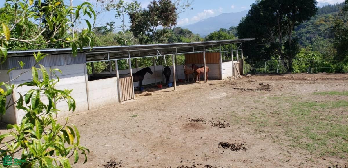 Santa Lusia Waterfall property , San Pedro, Perez Zeledon, San Jose