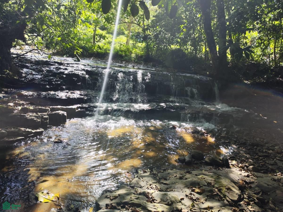 Santa Lusia Waterfall property , San Pedro, Perez Zeledon, San Jose