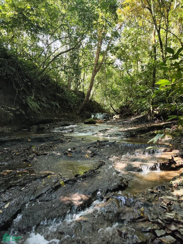 Santa Lusia Waterfall property , San Pedro, Perez Zeledon, San Jose