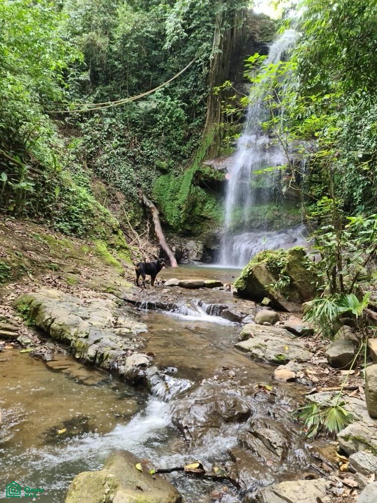 Santa Lusia Waterfall property , San Pedro, Perez Zeledon, San Jose