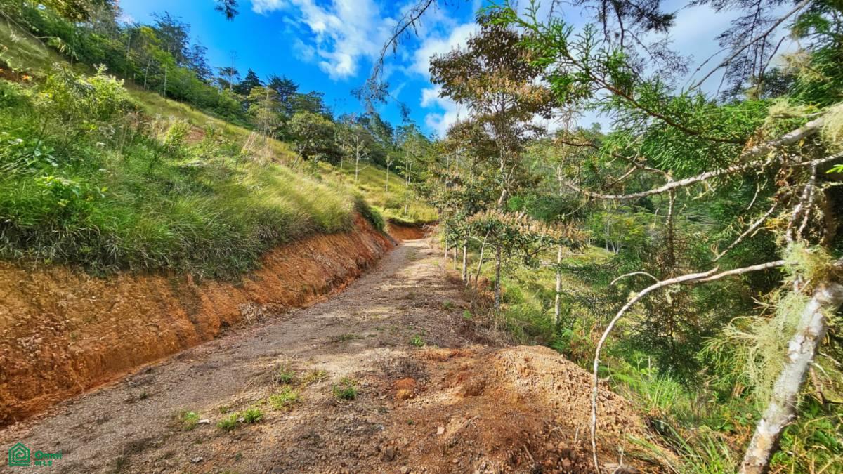 Rivas Lot 18,000m² , Rivas, Perez Zeledon, San Jose
