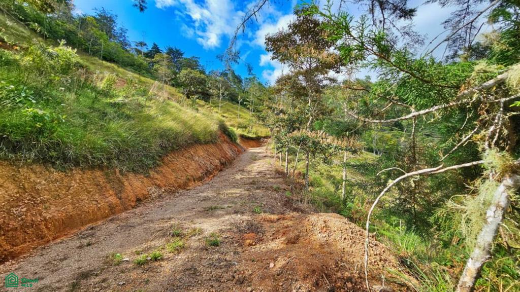 Rivas Lot 18,000m² , Rivas, Perez Zeledon, San Jose