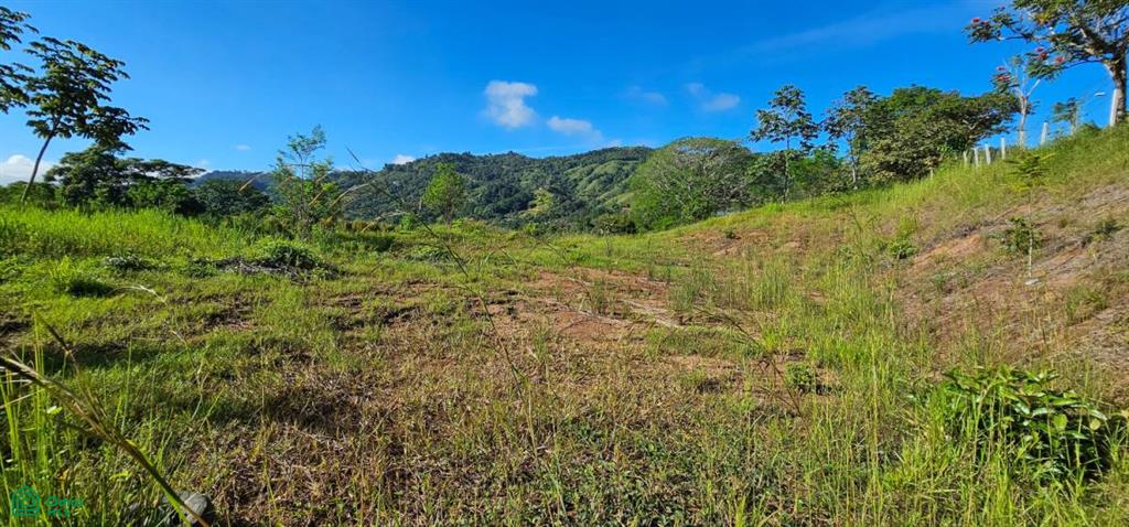 Unique Lot 9208m² , San Isidro del General, Perez Zeledon, San Jose