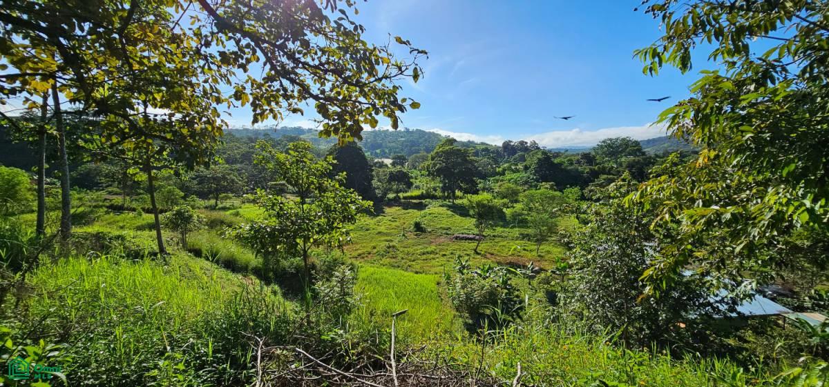 Unique Lot 9208m² , San Isidro del General, Perez Zeledon, San Jose