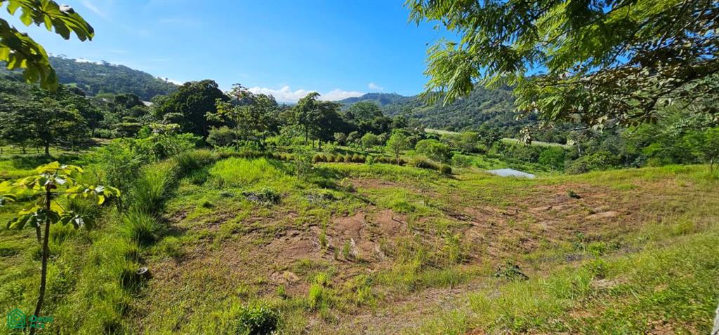 Unique Lot 9208m² , San Isidro del General, Perez Zeledon, San Jose