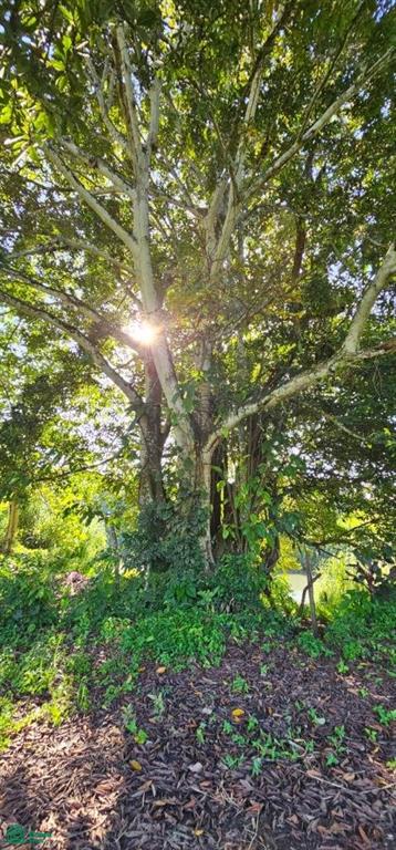 Unique Lot 9208m² , San Isidro del General, Perez Zeledon, San Jose