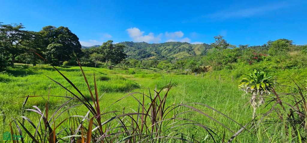 Unique Lot 9208m² , San Isidro del General, Perez Zeledon, San Jose