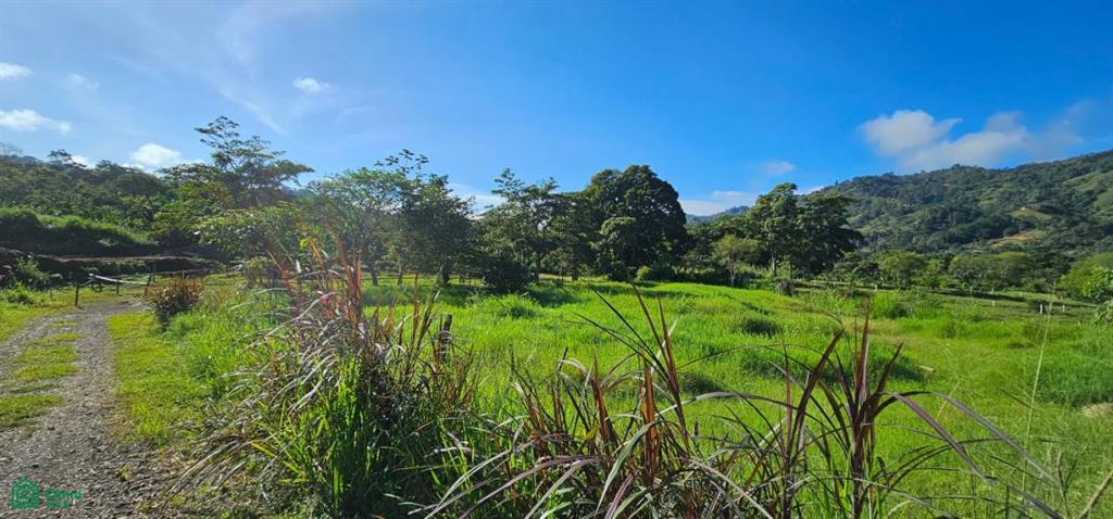 Unique Lot 9208m² , San Isidro del General, Perez Zeledon, San Jose