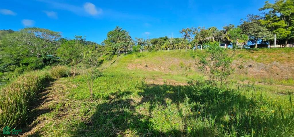 Unique Lot 9208m² , San Isidro del General, Perez Zeledon, San Jose