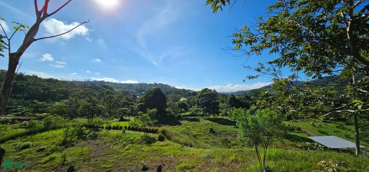 Unique Lot 9208m² , San Isidro del General, Perez Zeledon, San Jose