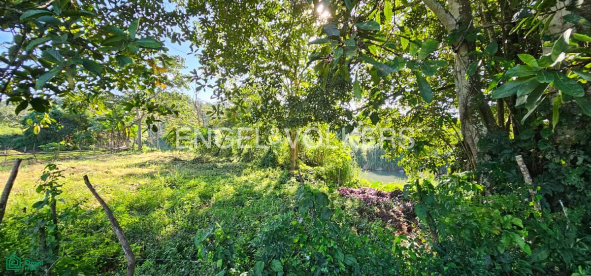 Unique Lot 9208m² , San Isidro del General, Perez Zeledon, San Jose