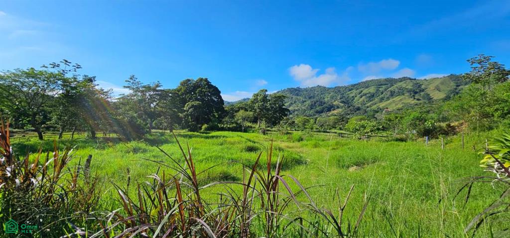 Unique Lot 9208m² , San Isidro del General, Perez Zeledon, San Jose